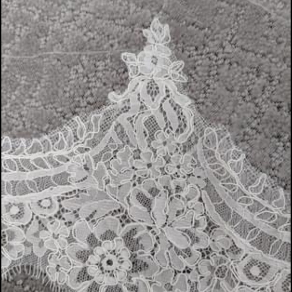 Veil - Picture 4 of 7